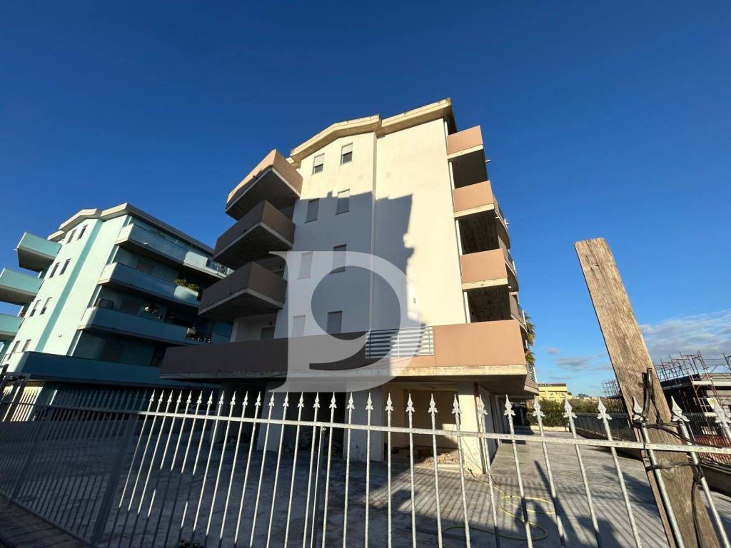 immagine annuncio 12 di 14