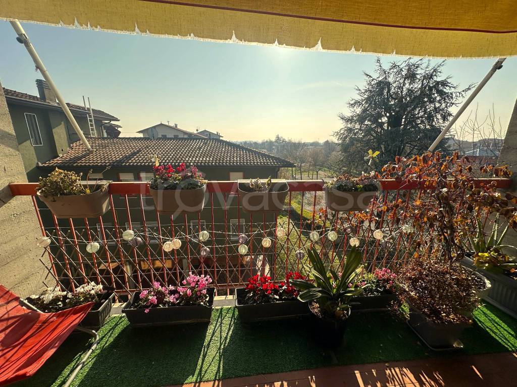 immagine annuncio 11 di 15