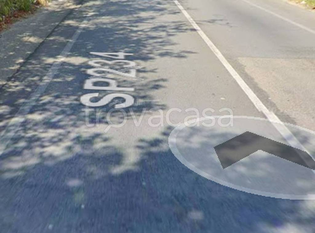 immagine annuncio 8 di 11