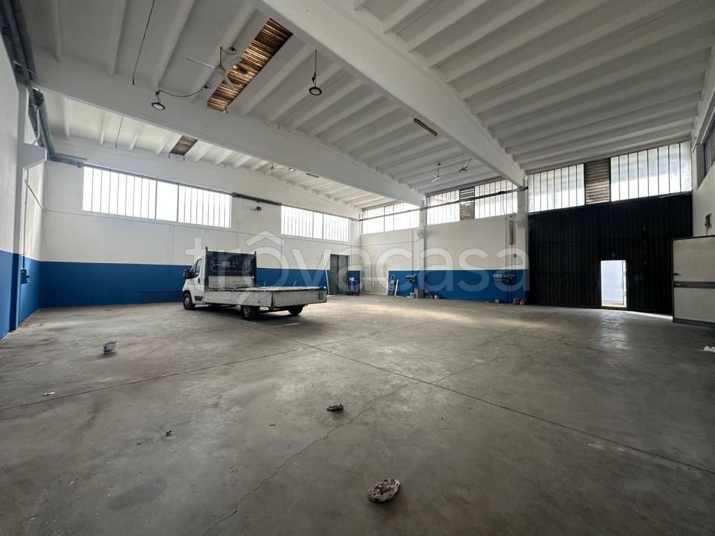 immagine annuncio 2 di 15