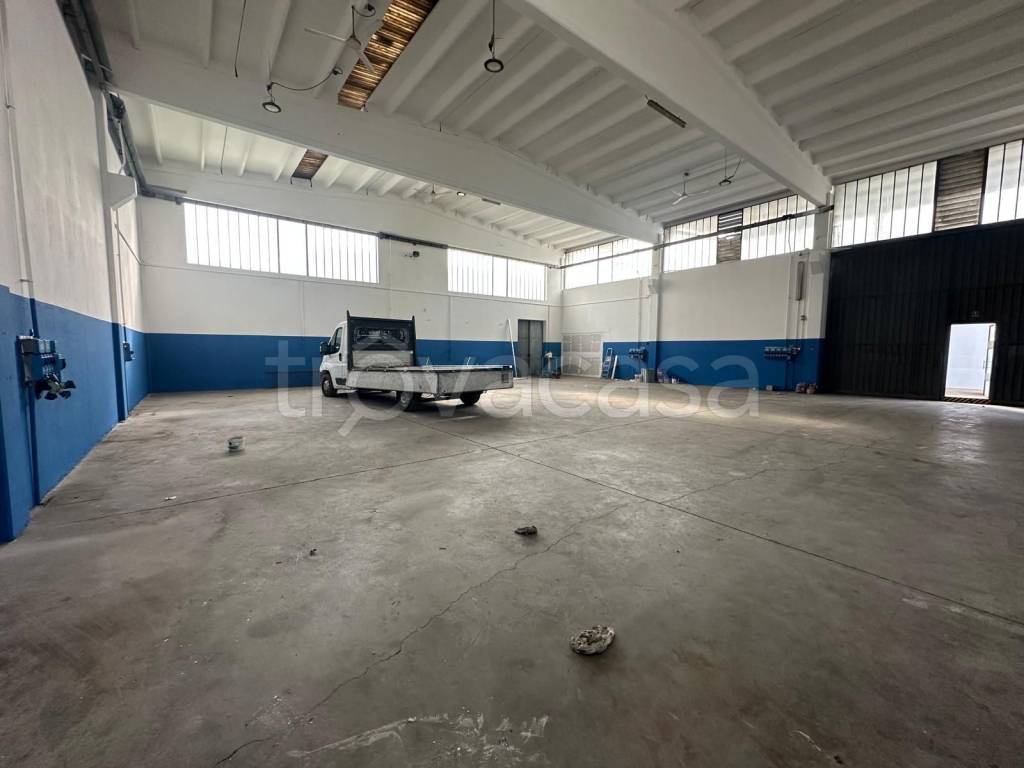 immagine annuncio 9 di 15