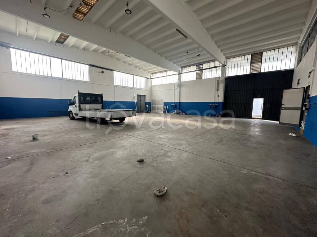 immagine annuncio 10 di 15