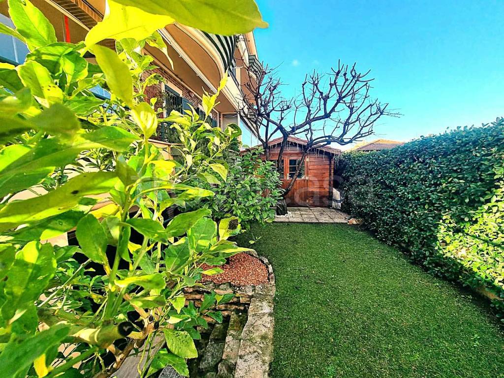 immagine annuncio 13 di 15