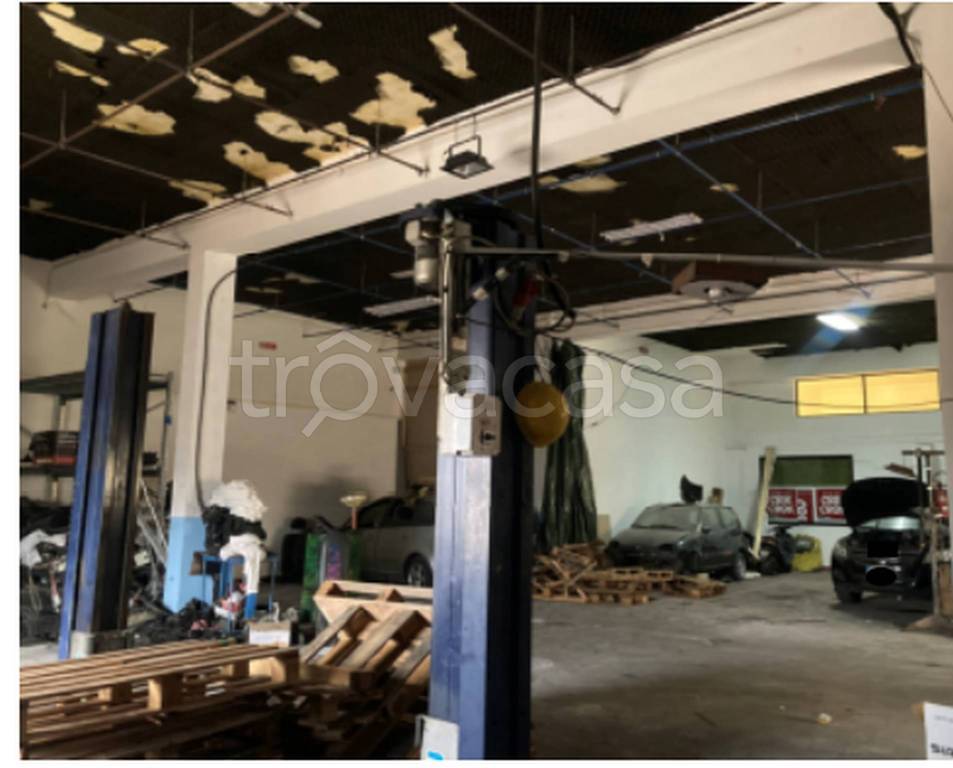 immagine annuncio 3 di 11