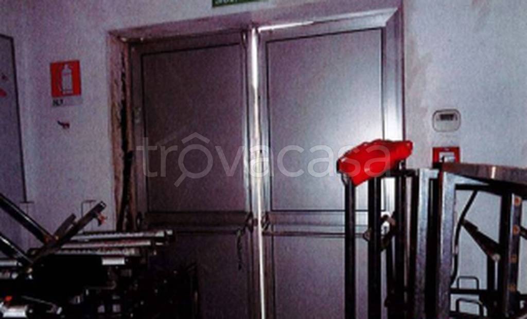 immagine annuncio 2 di 11