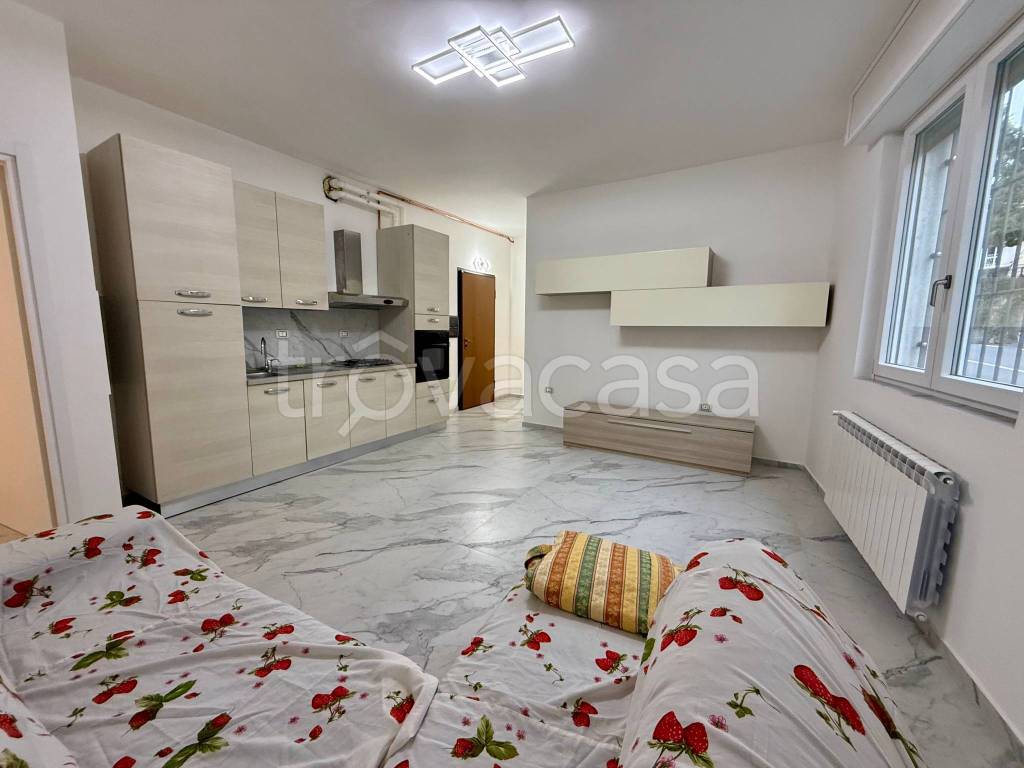 immagine annuncio 4 di 12