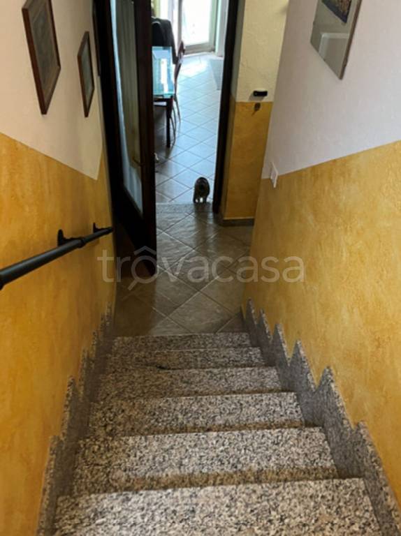 immagine annuncio 1 di 12