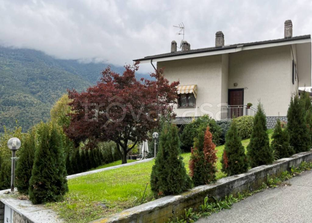 immagine annuncio 5 di 12