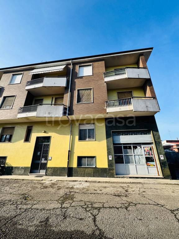 immagine annuncio 1 di 15