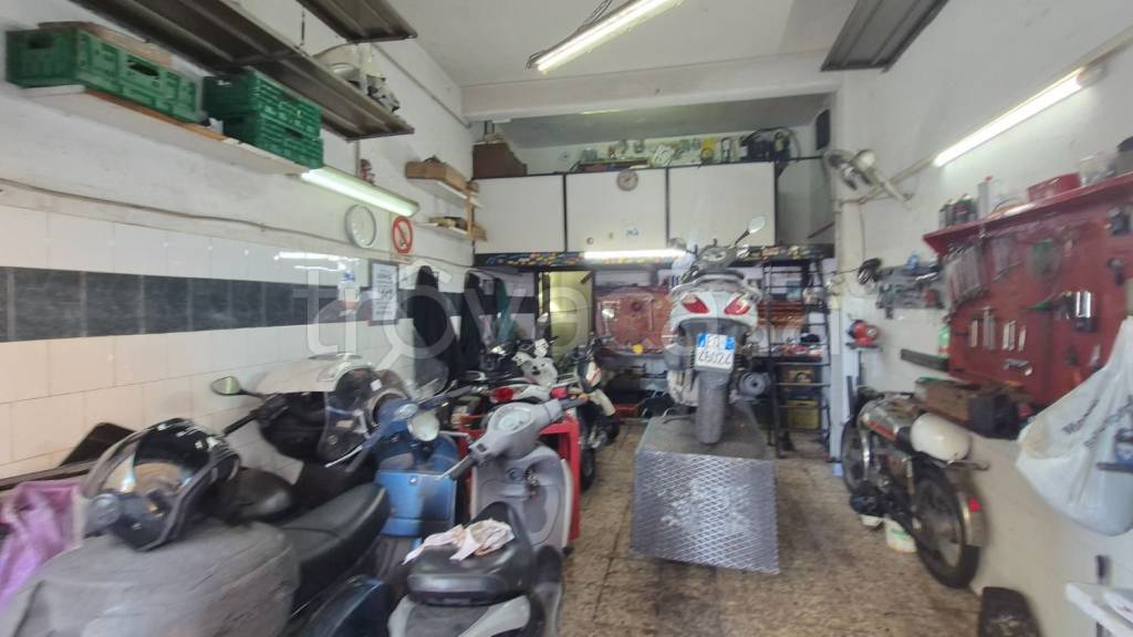 immagine annuncio 9 di 15