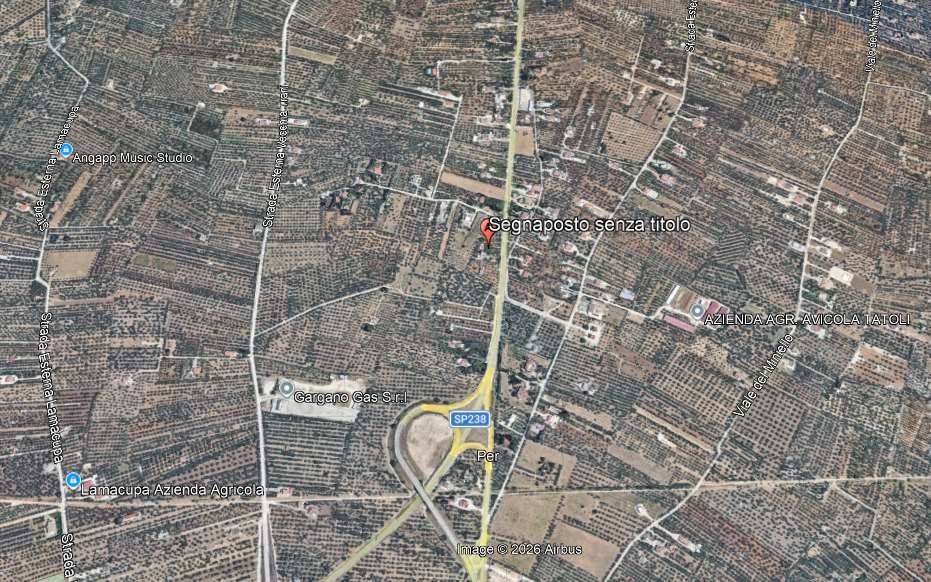 immagine annuncio 8 di 15