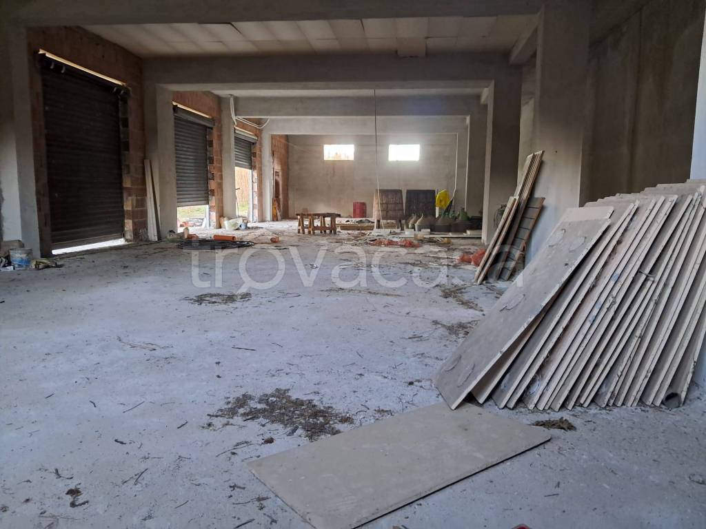 immagine annuncio 5 di 11