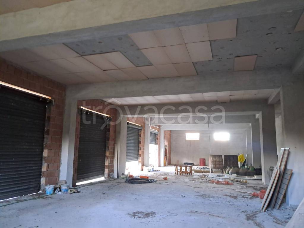 immagine annuncio 8 di 11