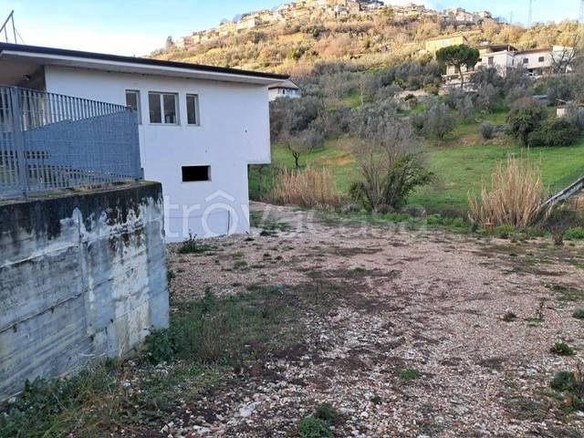 immagine annuncio 9 di 11