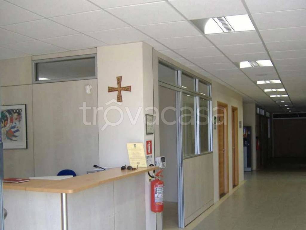 immagine annuncio 2 di 7