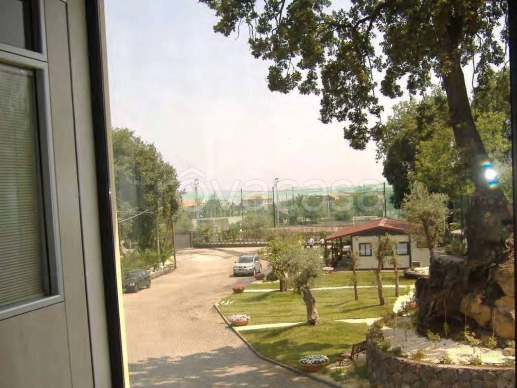 immagine annuncio 5 di 7