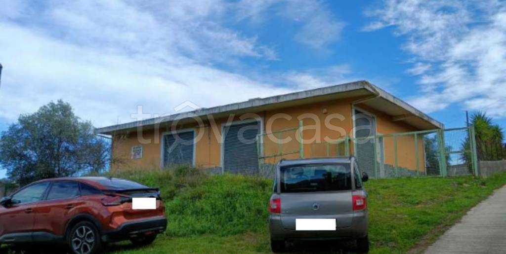 immagine annuncio 10 di 11