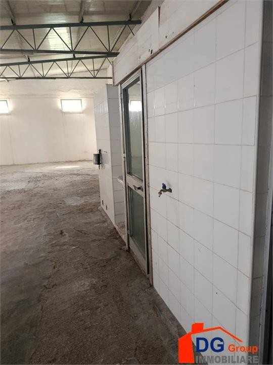 immagine annuncio 5 di 7