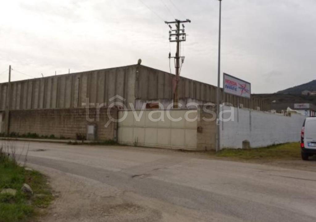 immagine annuncio 3 di 11