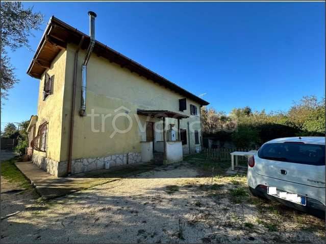 immagine annuncio 2 di 12