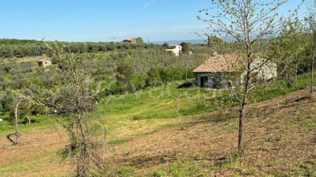 immagine annuncio 4 di 11