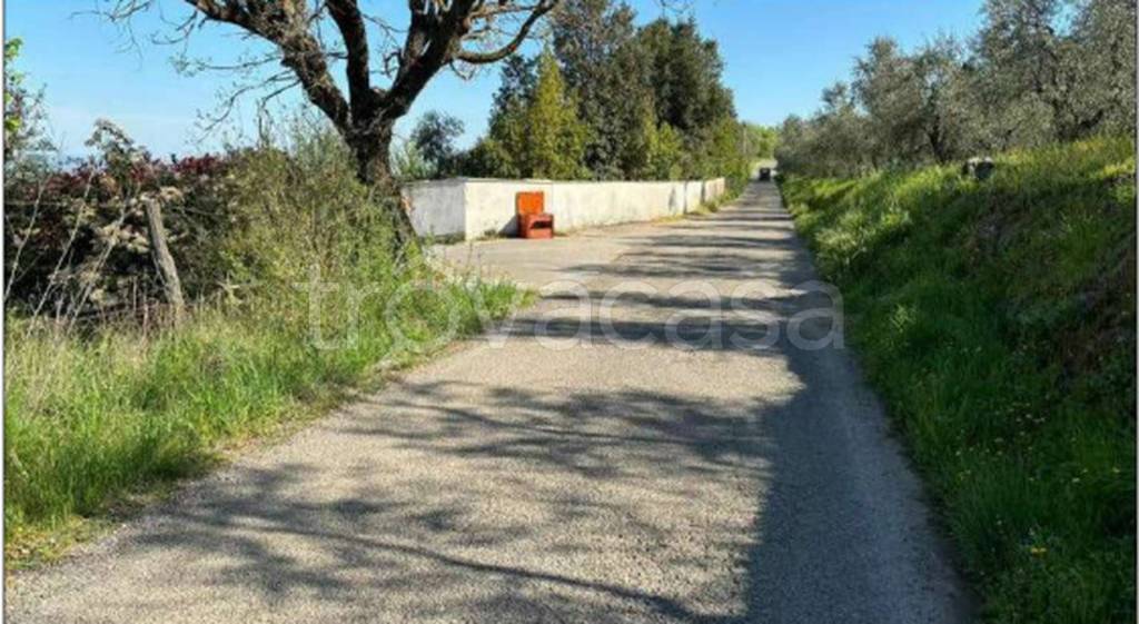 immagine annuncio 7 di 11