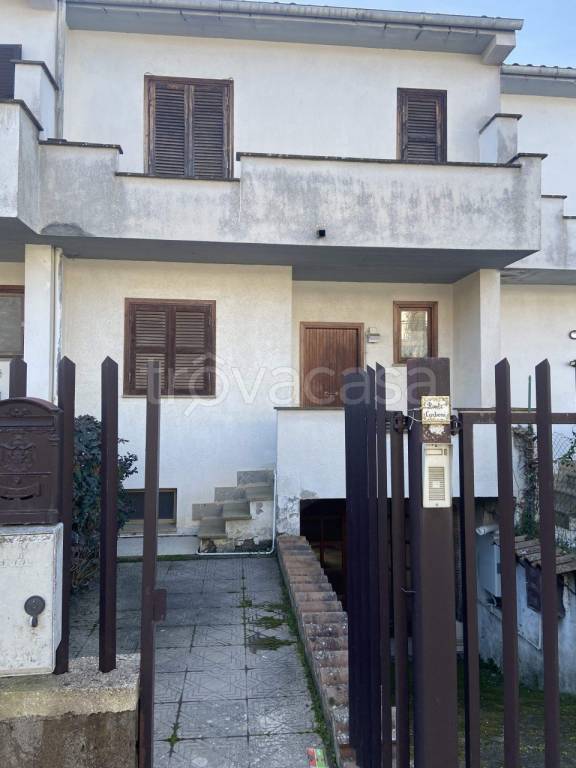 immagine annuncio 2 di 12