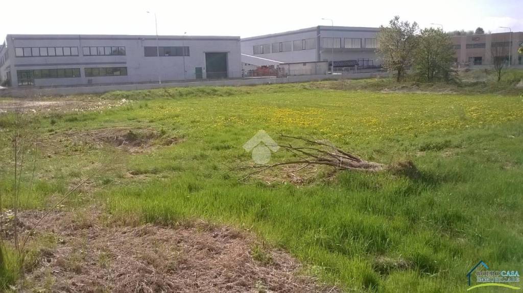 immagine annuncio 3 di 8