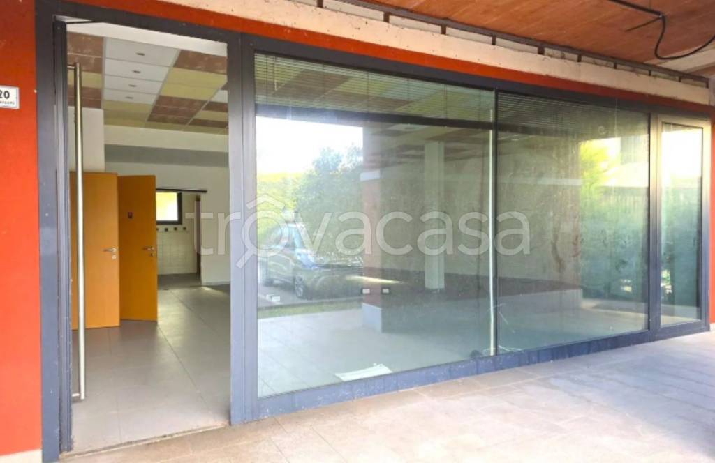 immagine annuncio 7 di 11