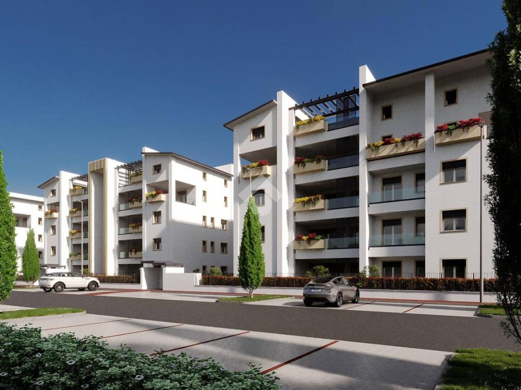 immagine annuncio 3 di 9