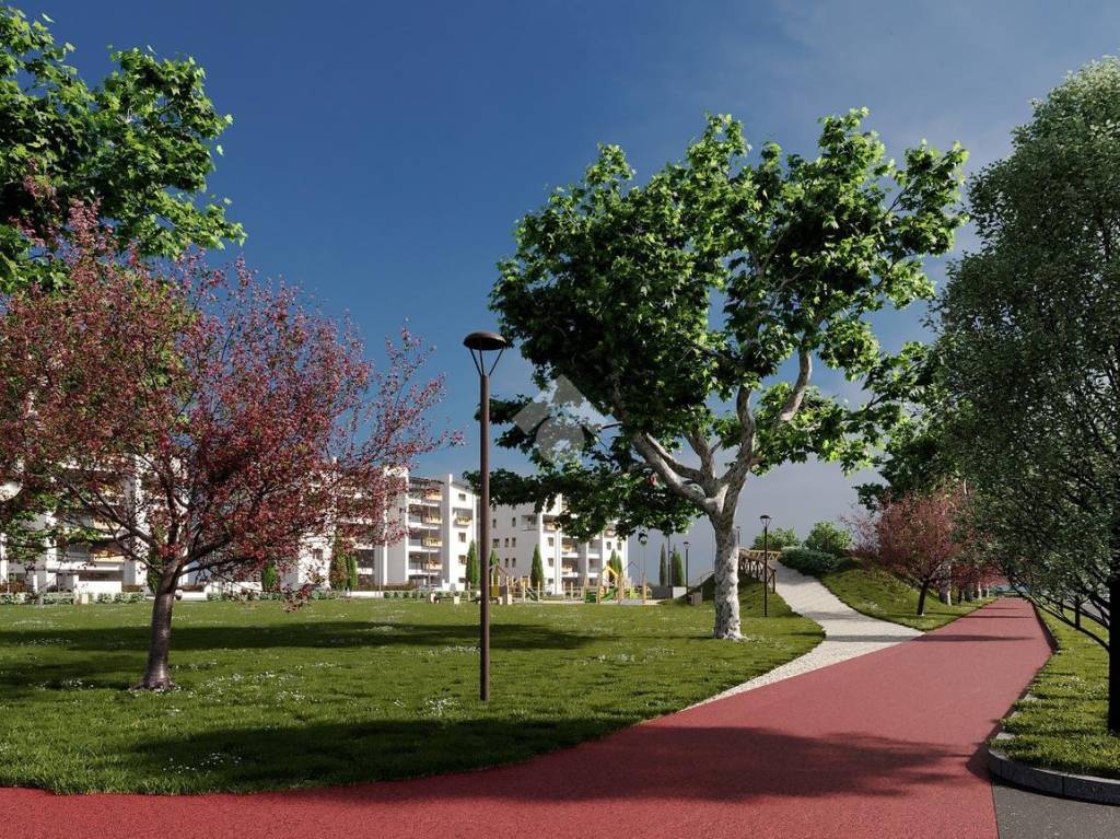 immagine annuncio 4 di 9