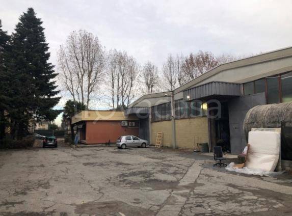 immagine annuncio 1 di 14