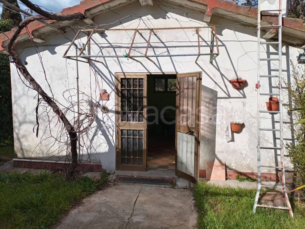 immagine annuncio 2 di 9