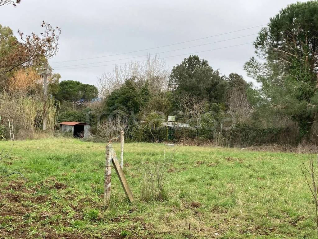 immagine annuncio 4 di 9