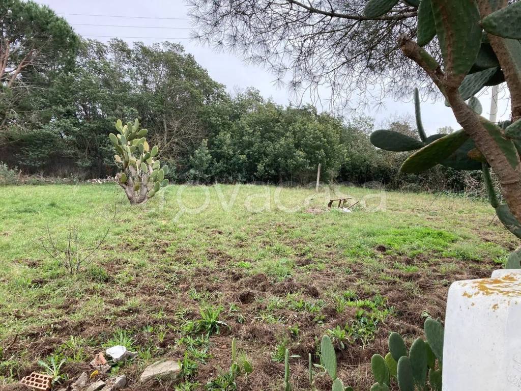 immagine annuncio 5 di 9