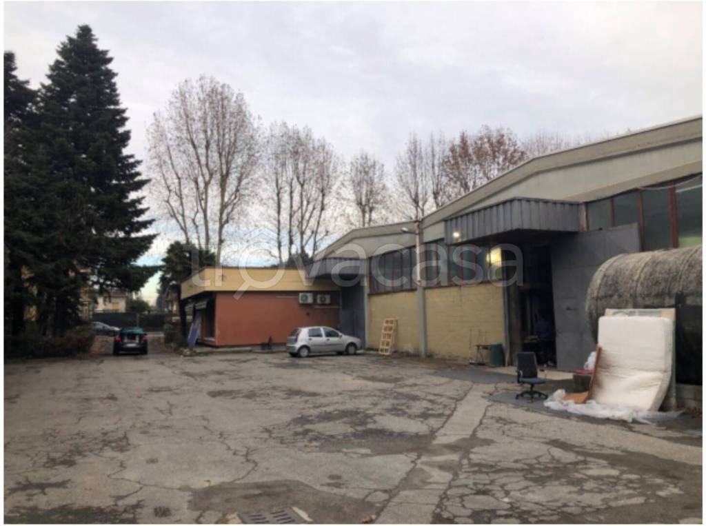 immagine annuncio 2 di 14