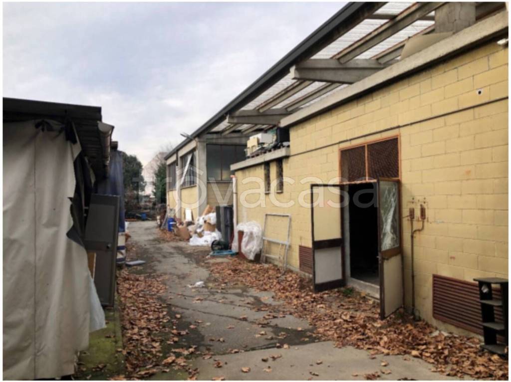 immagine annuncio 4 di 14