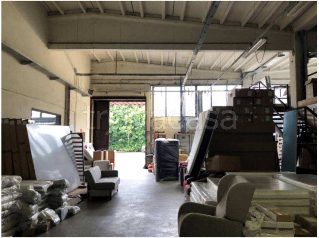 immagine annuncio 5 di 14