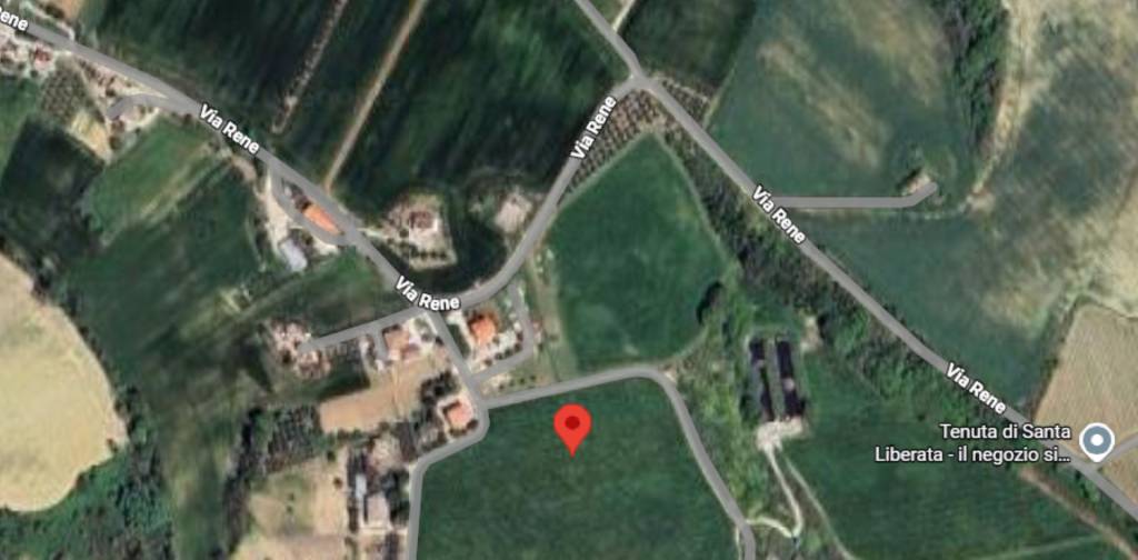 immagine annuncio 4 di 14