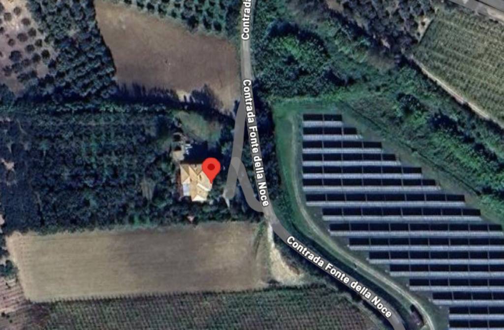 immagine annuncio 12 di 13