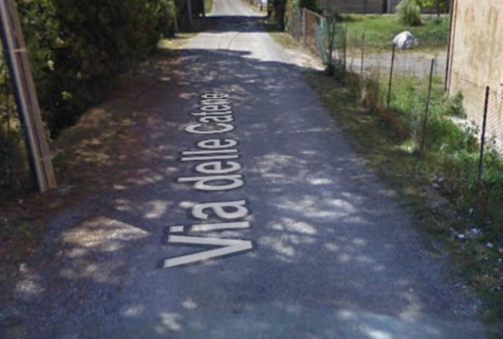 immagine annuncio 1 di 14