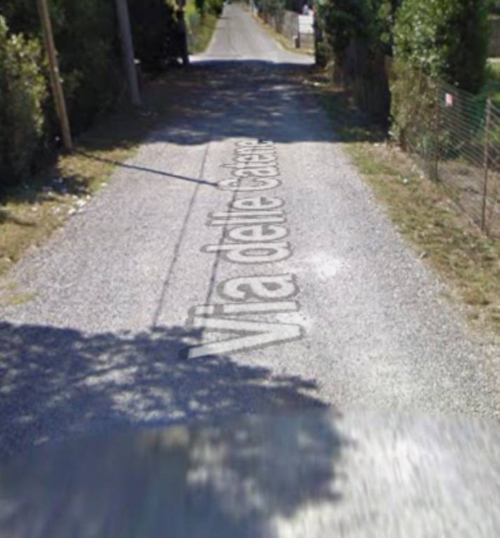 immagine annuncio 4 di 14