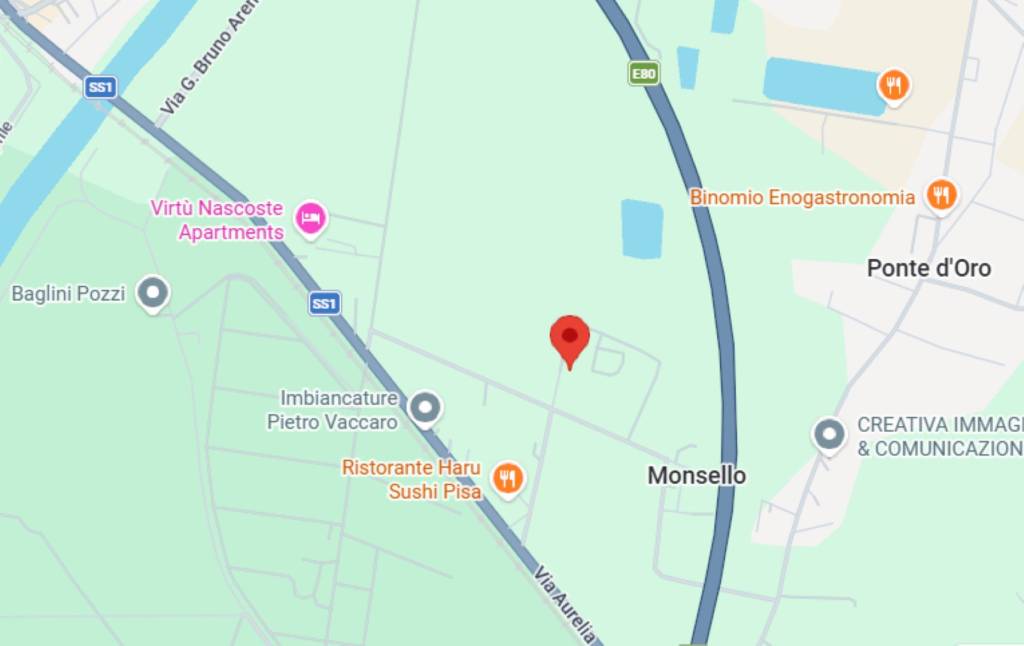 immagine annuncio 11 di 14