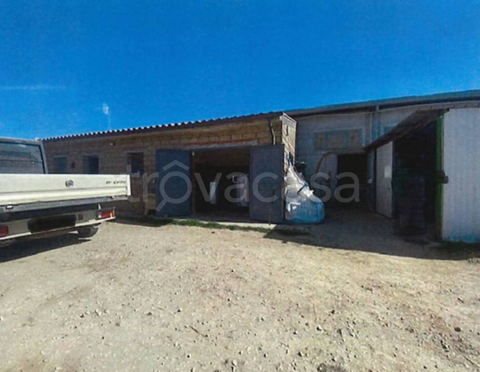 immagine annuncio 2 di 11