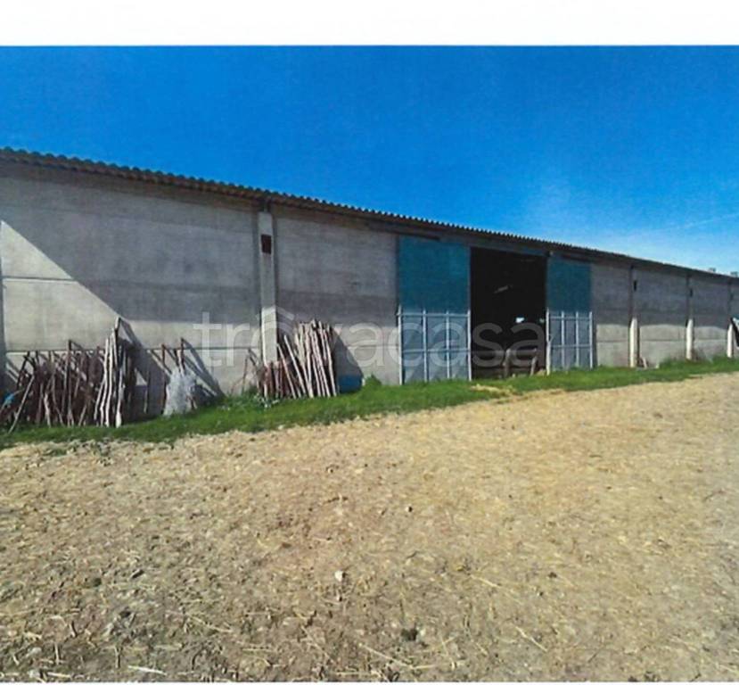 immagine annuncio 3 di 11