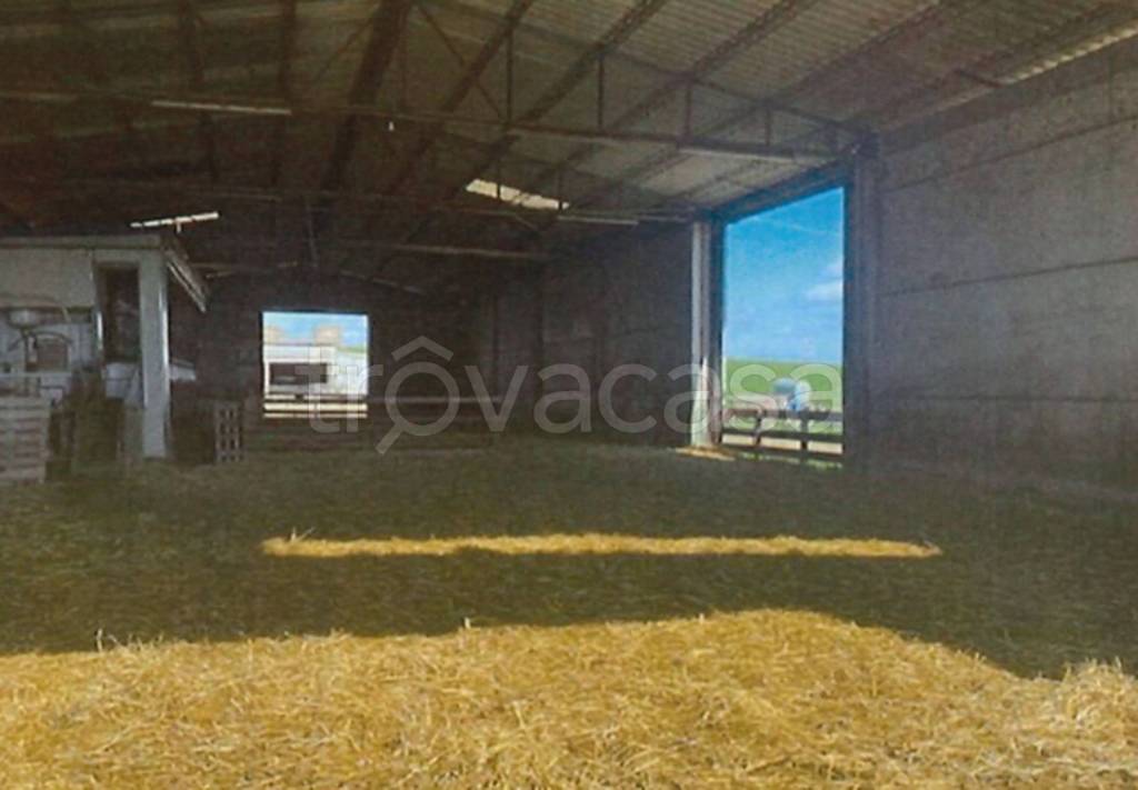 immagine annuncio 5 di 11