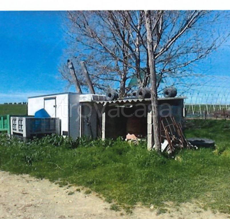 immagine annuncio 8 di 11