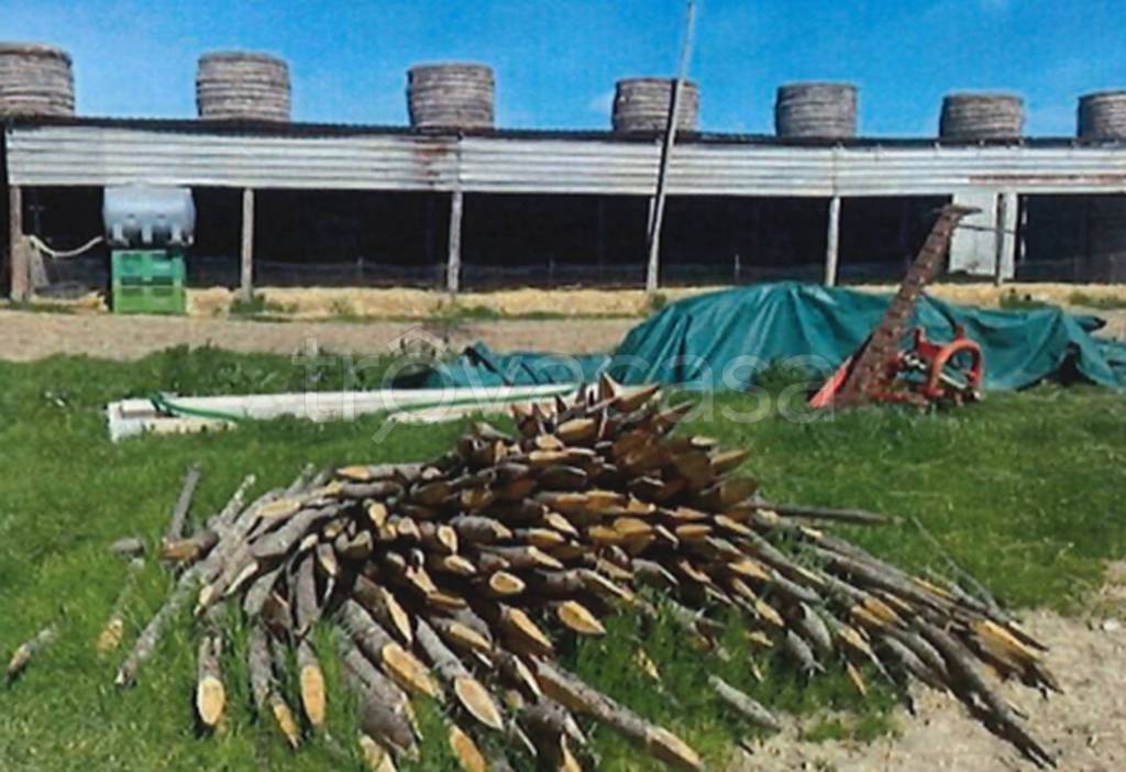 immagine annuncio 9 di 11