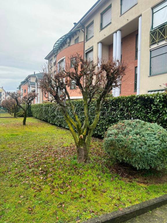 immagine annuncio 1 di 15