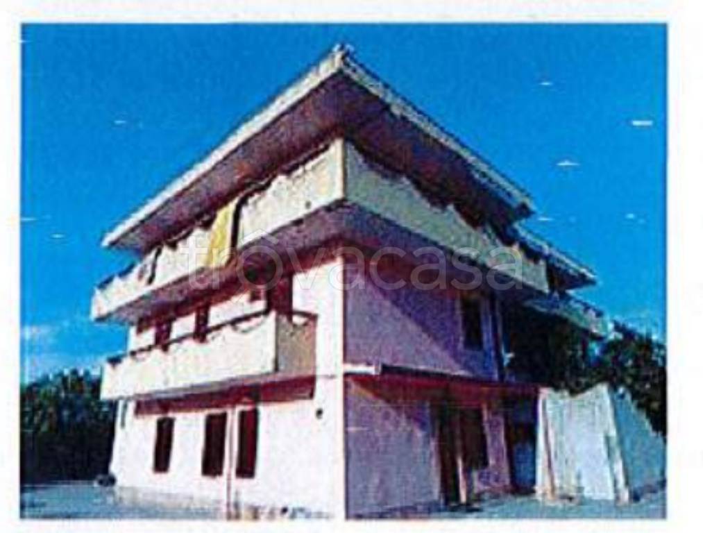 immagine annuncio 2 di 12